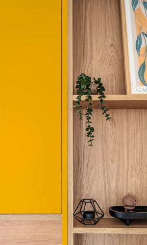 Detailaufnahme Front Orange