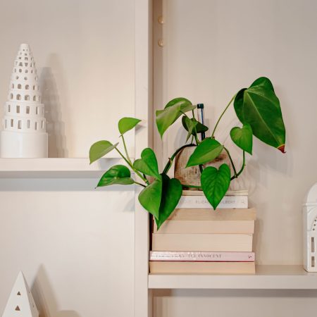 Wohnwand Nahaufnahme Champagner Inlay mit Dekorationselementen